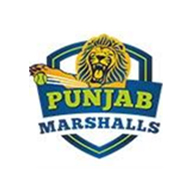Champions Tennis League (Punjab Team)